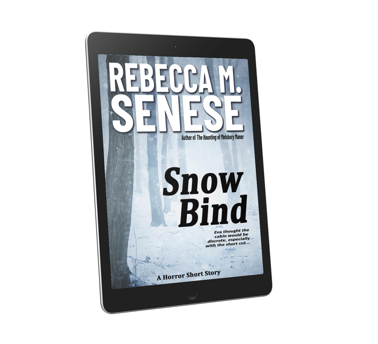 Snow Bind