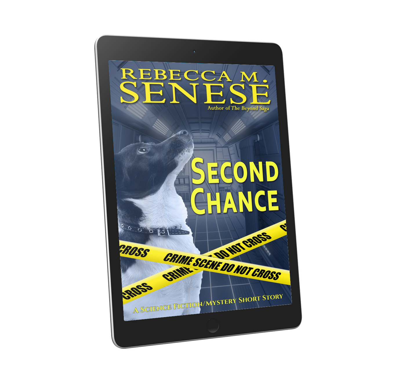 Second Chance