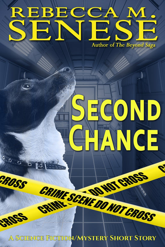 Second Chance