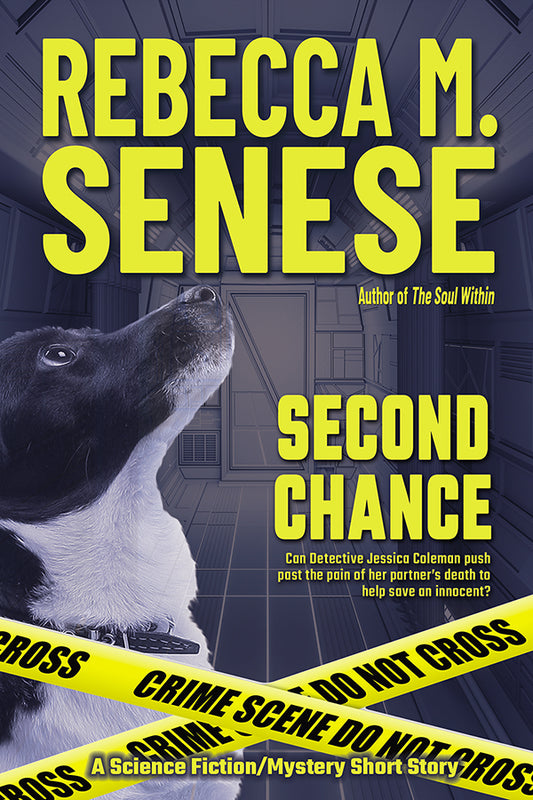 Second Chance